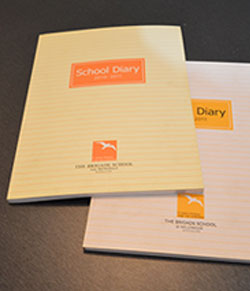 Portfolio School Dairy Design
